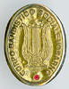 Spilla oro con rubino Spilla oro con rubino
